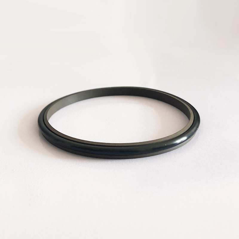 Hydraulic Dust Seals Hydraulic Dust Seals