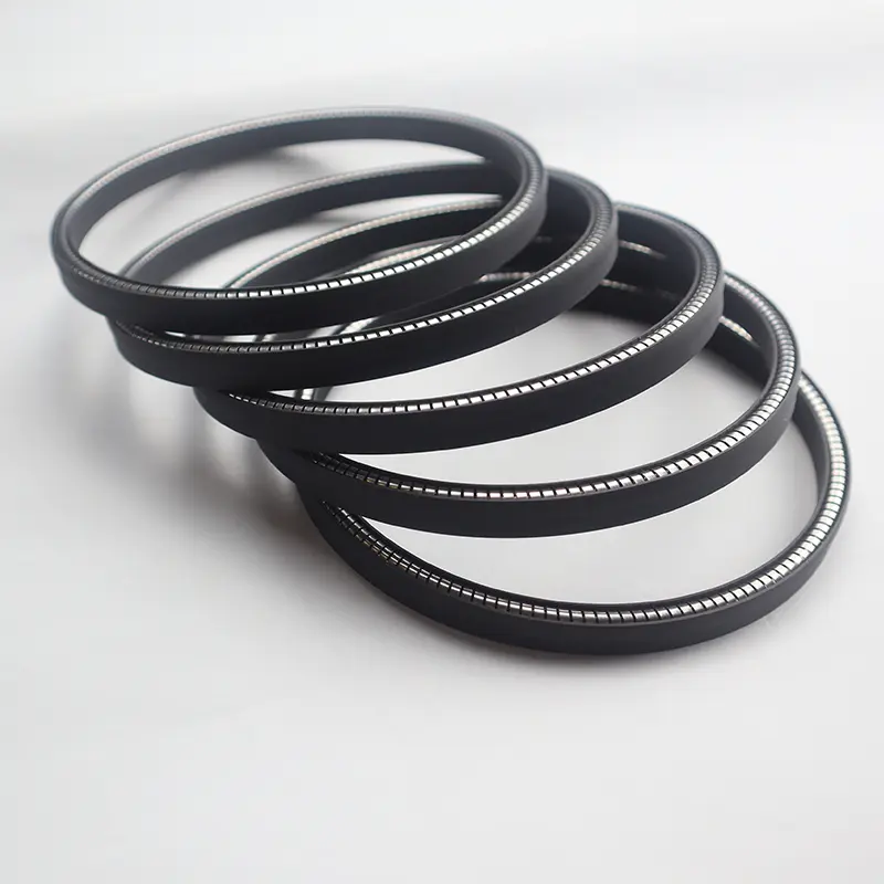 Universal Spring Energized Seal For Shaft Hole