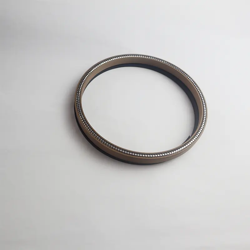 Universal Spring Energized Seal For Shaft Hole