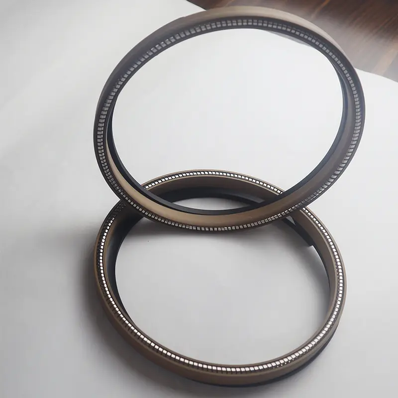 Universal Spring Energized Seal For Shaft Hole