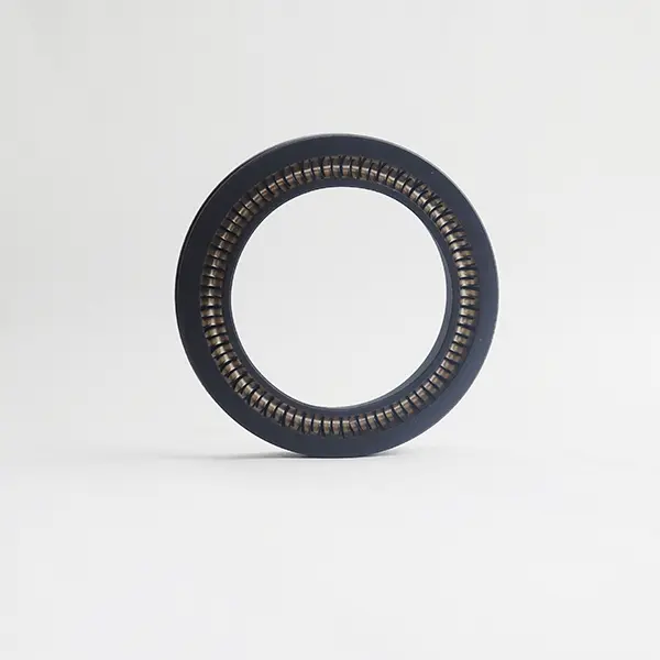 Rotary Spring Energized Seals