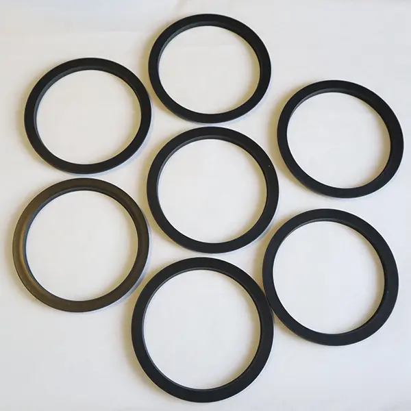 Rotary Spring Energized Seals