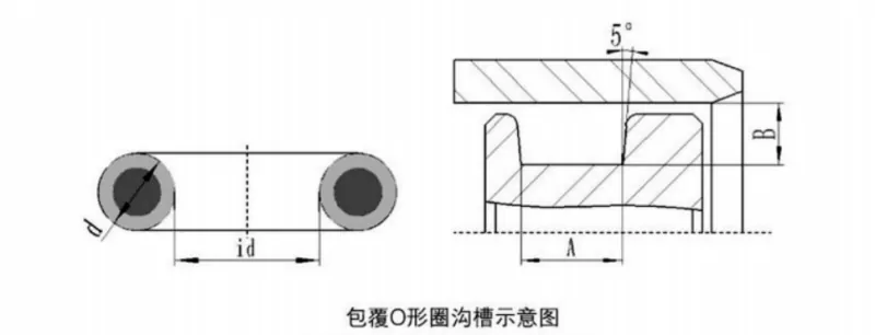 FEP PFA Encapsulated O-Ring